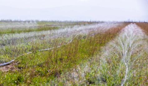 山西萬畝中藥材采用軟體集雨水窖+智能水肥一體化，增產(chǎn)顯著